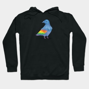 Nicobar Pigeon Hoodie